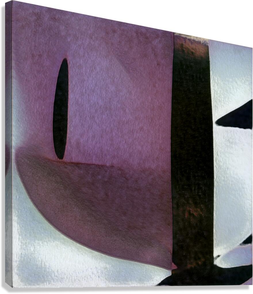 4172 8K Canvas Print