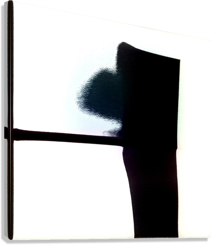 4168 8K Canvas Print