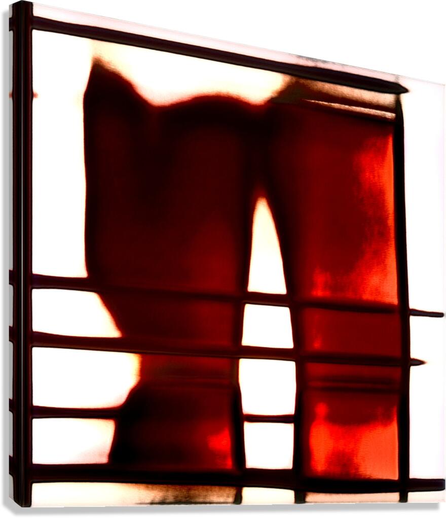 4163 8K Canvas Print