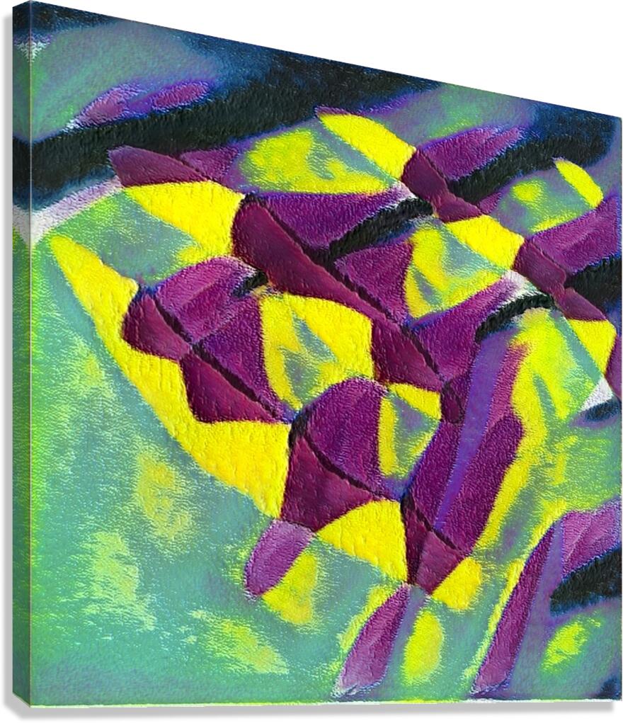 4179 8K Canvas Print