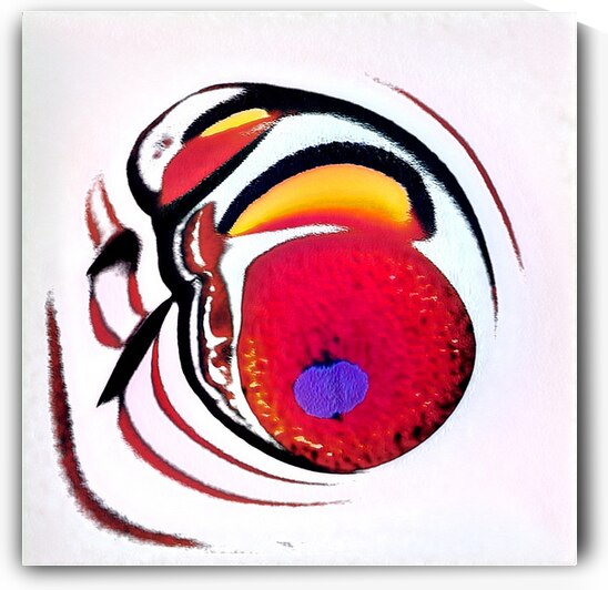 161 8K by Abstratica