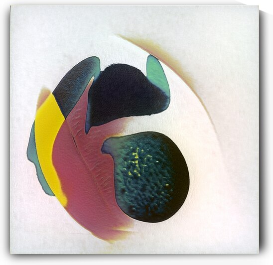 240 8K by Abstratica