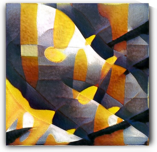 283 8K by Abstratica