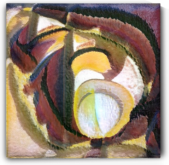 292 8K by Abstratica