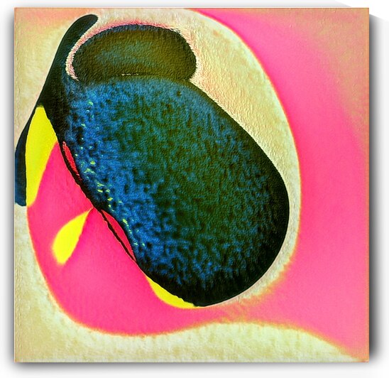 422 8K by Abstratica