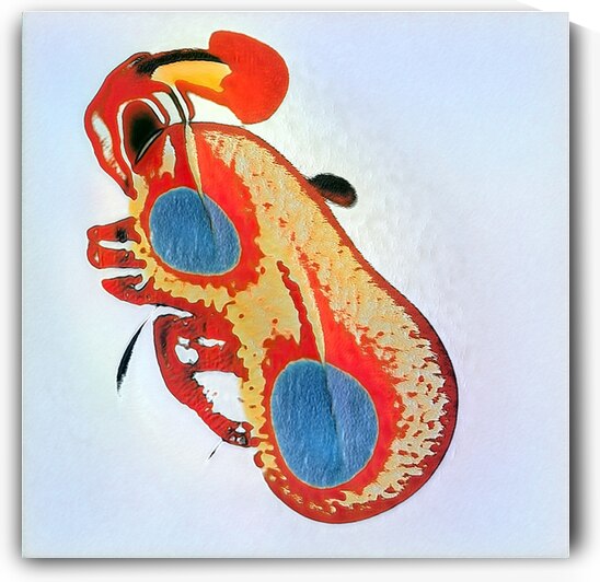 516 8K by Abstratica