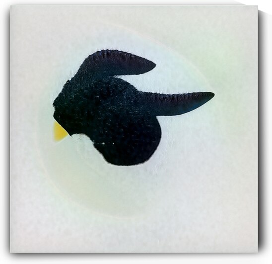 527 8K by Abstratica