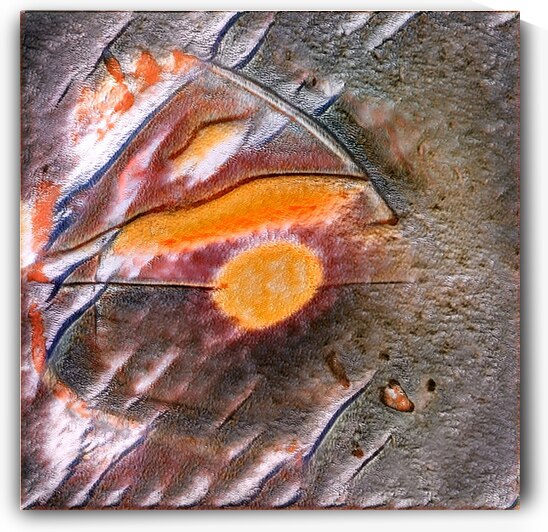 606 8K by Abstratica