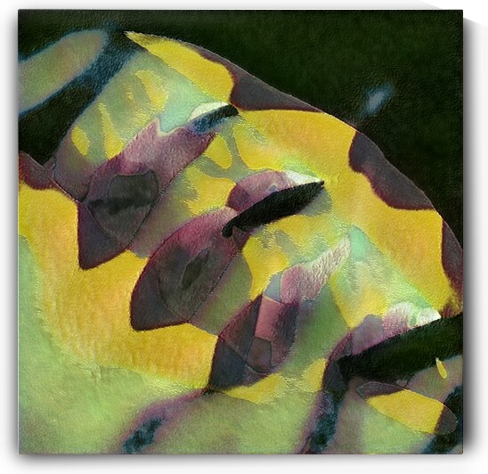 603 8K by Abstratica