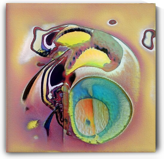 611 8K by Abstratica