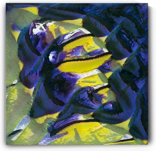 636 8K by Abstratica