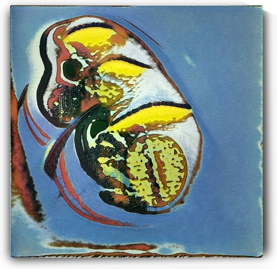 656 8K by Abstratica