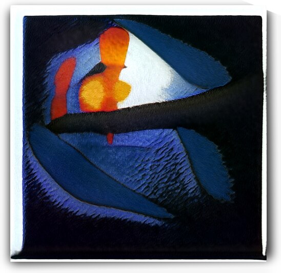 692 8K by Abstratica