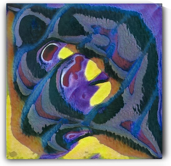 721 8K by Abstratica