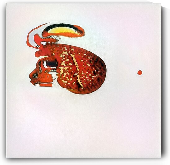 720 8K by Abstratica