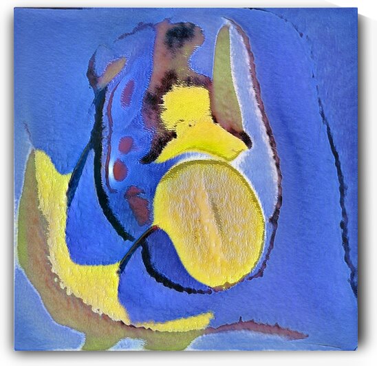 705 8K by Abstratica