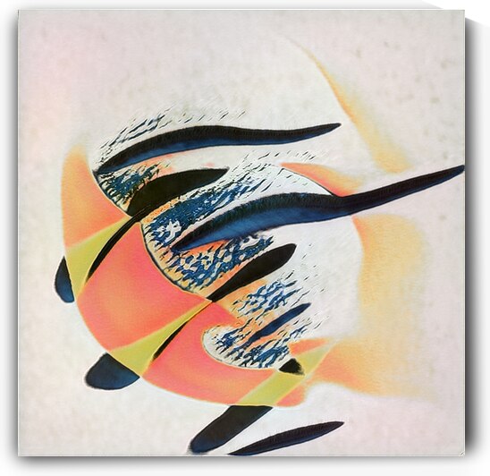 771 8K by Abstratica