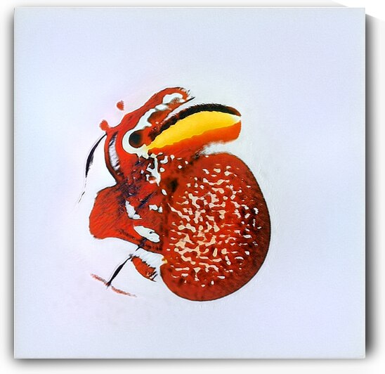 882 8K by Abstratica