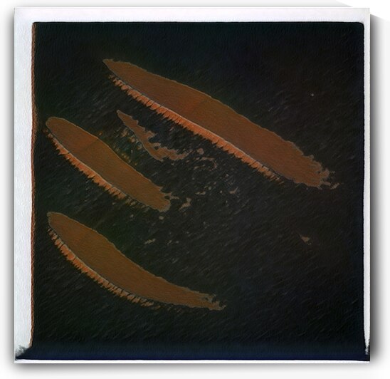 921 8K by Abstratica