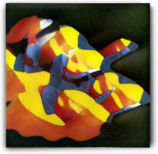 928 8K by Abstratica