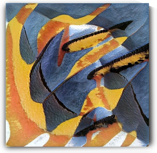 981 8K by Abstratica