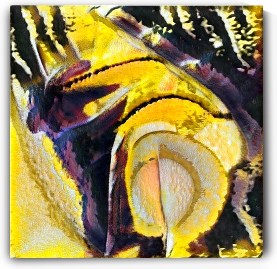 1100 8K by Abstratica