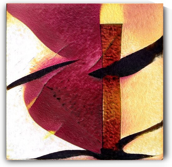 1137 8K by Abstratica