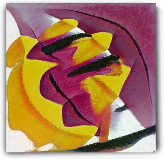 1122 8K by Abstratica