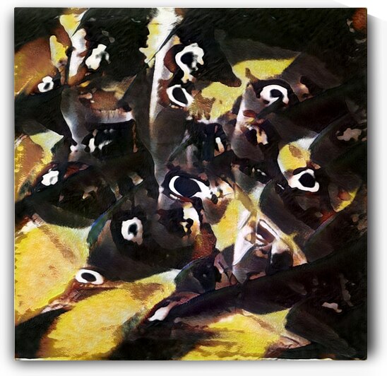 1119 8K by Abstratica