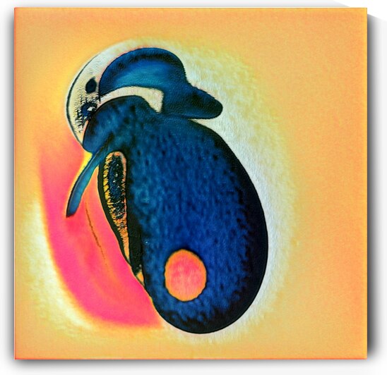 1181 8K by Abstratica