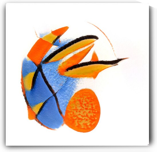 1162 8K by Abstratica