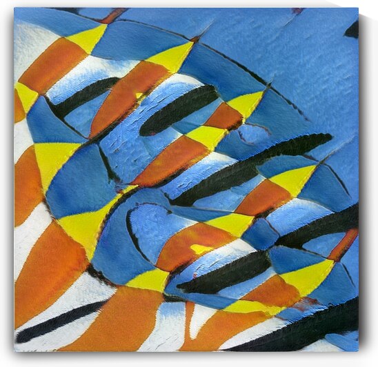 1274 8K by Abstratica