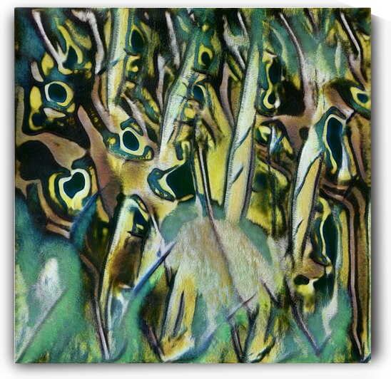 1289 8K by Abstratica