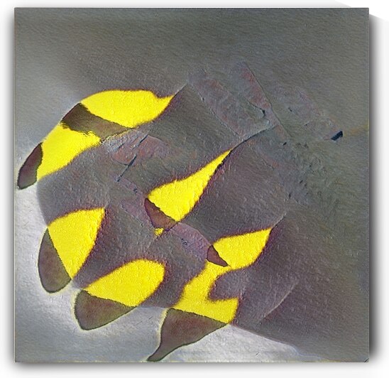 1325 8K by Abstratica