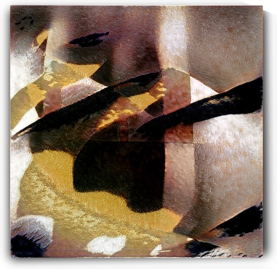 1356 8K by Abstratica