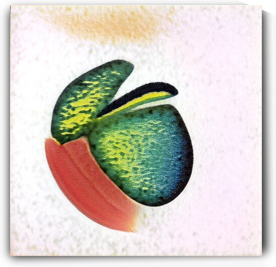 1375 8K by Abstratica