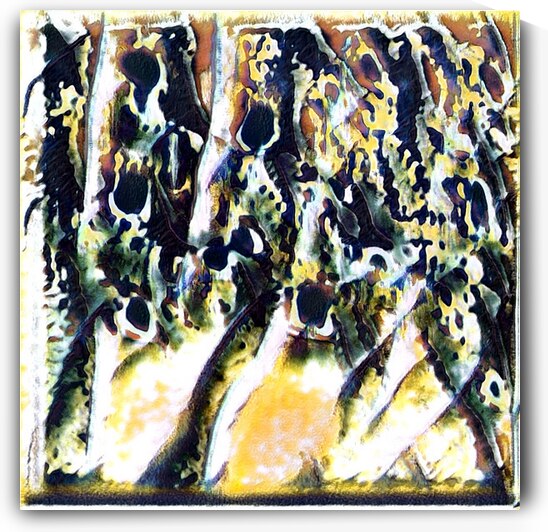 1401 8K by Abstratica