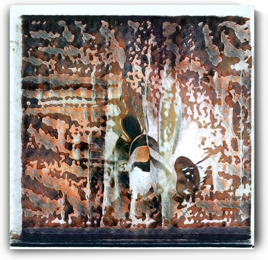 1422 8K by Abstratica