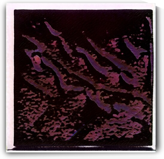 1421 8K by Abstratica