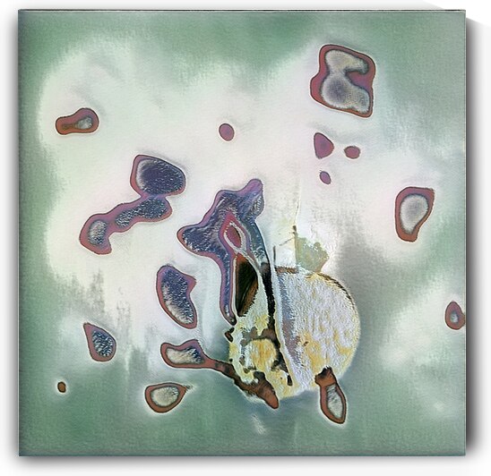 1488 8K by Abstratica