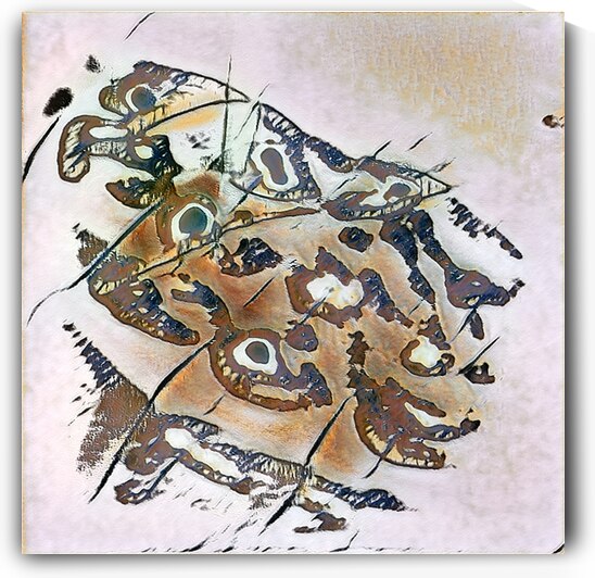 1481 8K by Abstratica