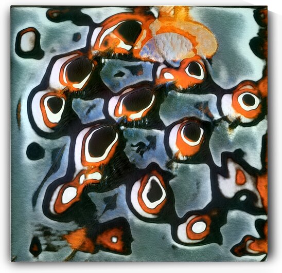 1548 8K by Abstratica