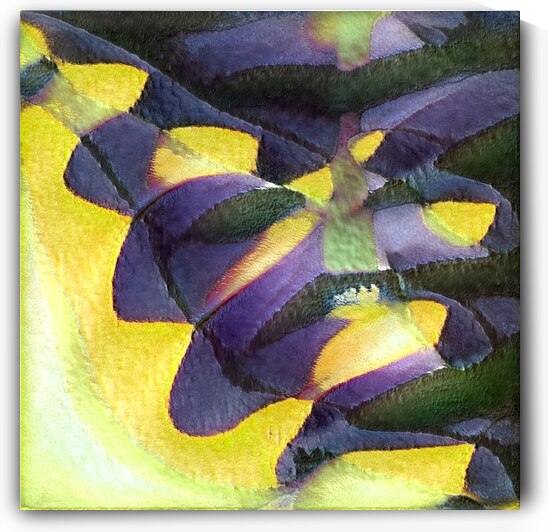 1529 8K by Abstratica