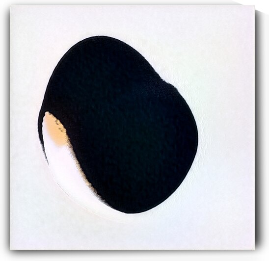 1531 8K by Abstratica