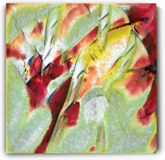 1624 8K by Abstratica