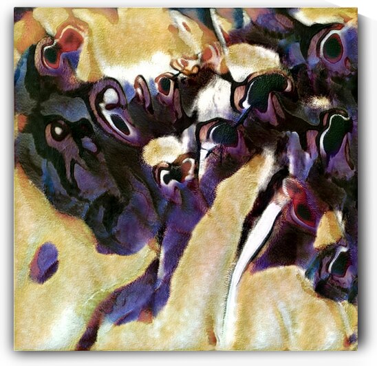 1621 8K by Abstratica