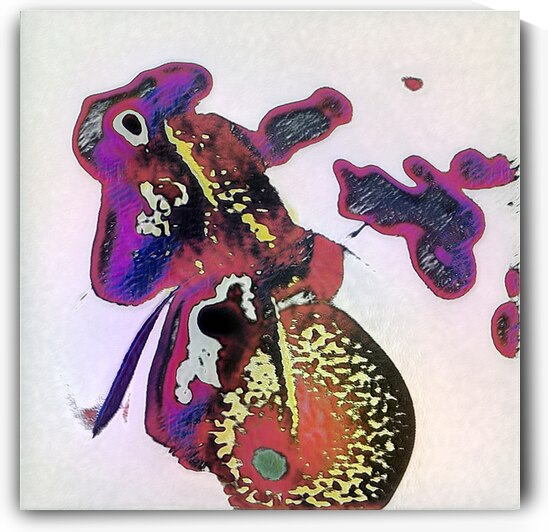 1650 8K by Abstratica