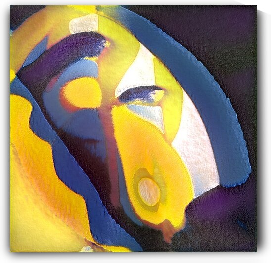 1698 8K by Abstratica