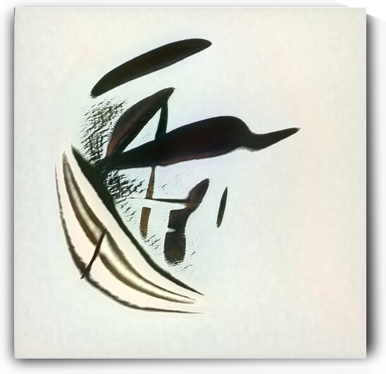 1671 8K by Abstratica