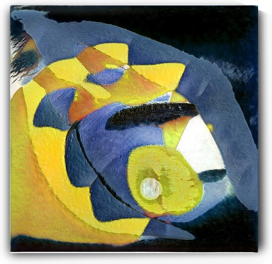 1710 8K by Abstratica